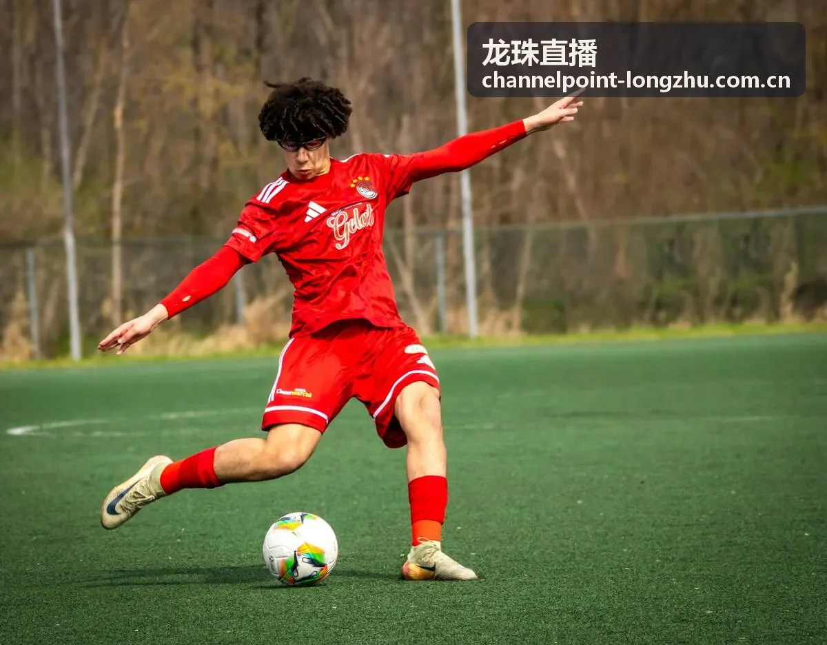 龙珠直播4K HDR赛事画质升级