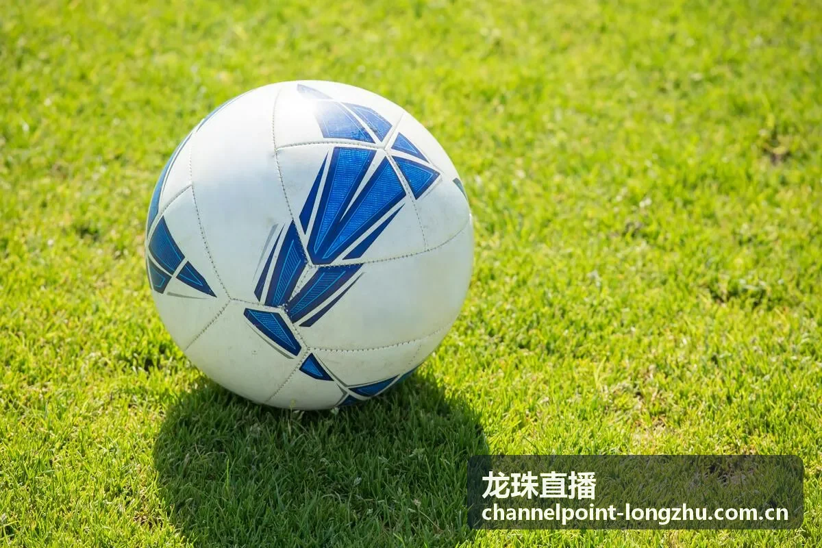 龙珠直播云端录制与4K超清回放功能
